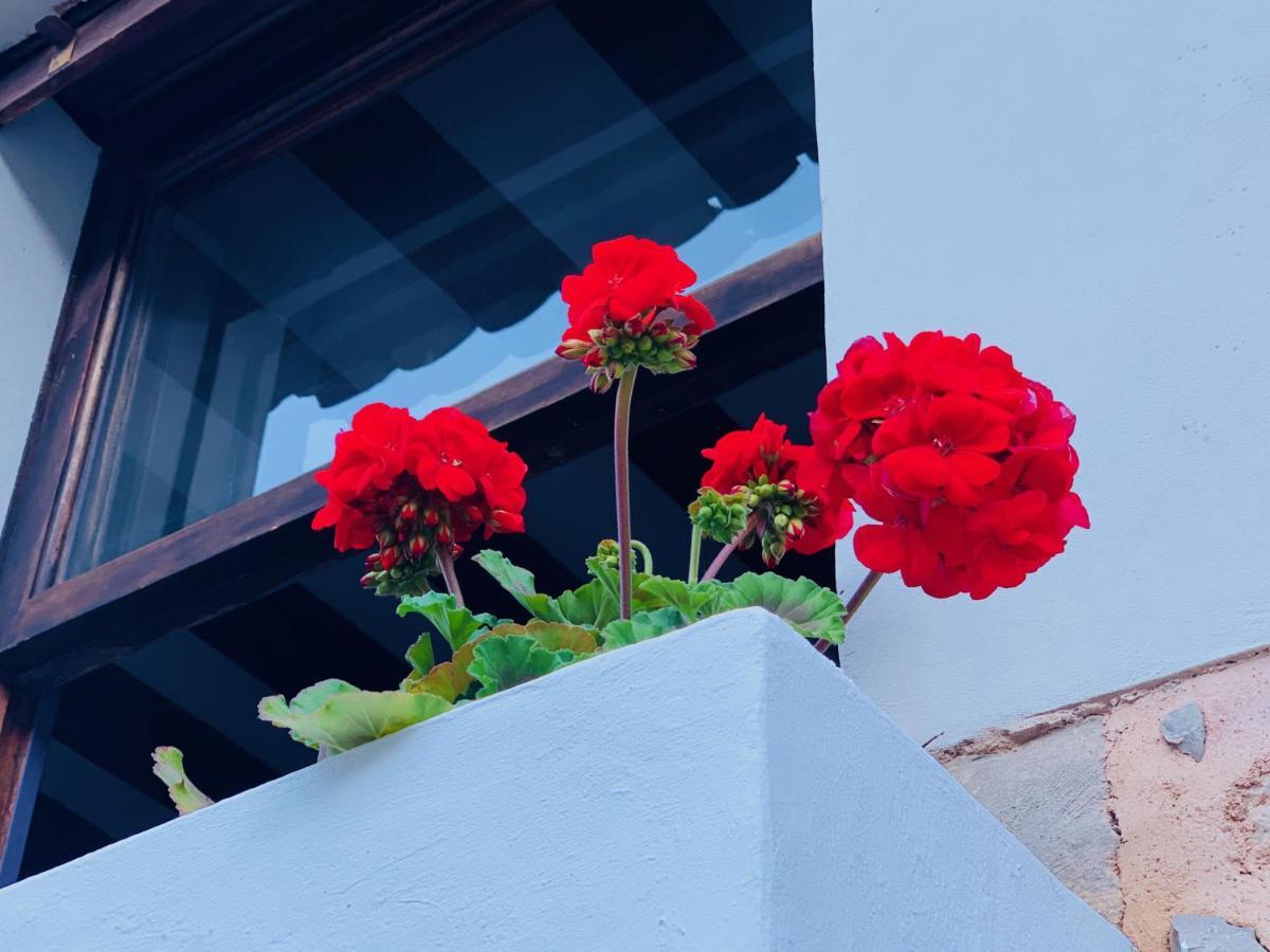 Can Pera Accommodation - Ti Fornalutx Exterior photo